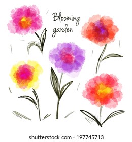 Set of blooming flowers 