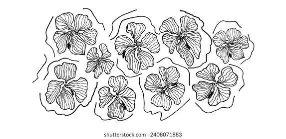 Set  with blooming flowers hibiscus. Hand drawn black brush botanical ornament. Doodle style floral motifs. Monochrome print. Summer botanical doodle vector illustration on white background