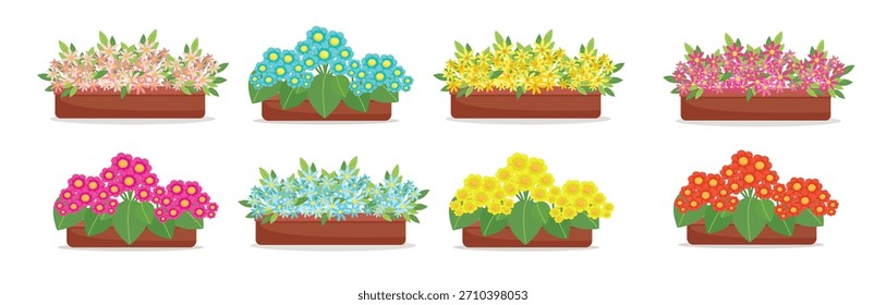 Flores florecientes en macetas en estilo plano, gran colección de flores de primavera en cajas, Elementos de diseño de Vector aislados