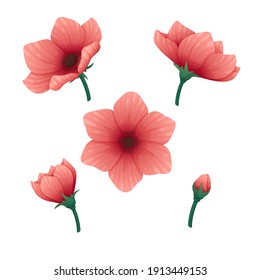 Set of blooming pink flowers with short green stems. Cartoon style illustration. Vector elements for a greeting card, poster, invite design. 