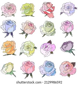 set of blooming rose flowers, vector illustration