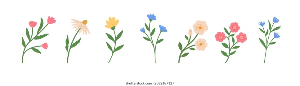 Set of blossom flowers vector illustrations. Hand draw style. Spring wildflower