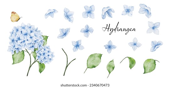 Set of blossom and leaf elements of watercolor blue hydrangea bouquet and butterfly, watercolor painting. Vector isolated on white background.