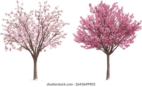 Conjunto de florescentes Prunus persica e Prunus cerasifera rua árvores frontais isolado recorte, ilustração vetorial, primavera árvores de jardim, árvores de flores ornamentais.