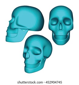 Set of Blue 3D Geometric Skulls on White. Low Poly Realistic Vector Illustration. Collection of Skulls in Different Views.