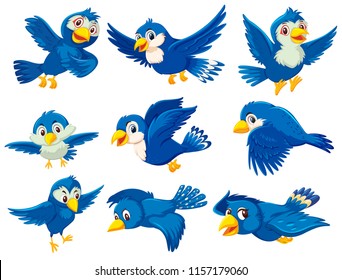 A set of blue bird illustration