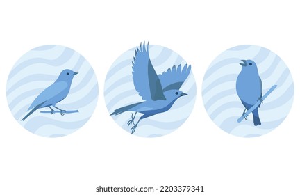 set of blue birds, vector, illustration isolated on white background