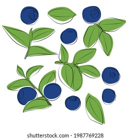 Set of blue blueberries with leaves, vector graphics.