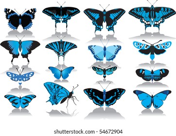 set of blue butterflies