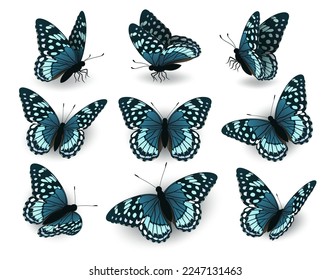 Conjunto de mariposas azules volando en diferentes direcciones. Colección de mariposas sobre un fondo blanco. Vista lateral y superior de las mariposas.