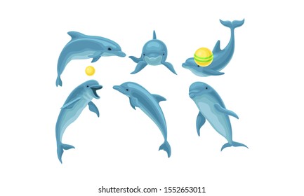Set Of Blue Dolphins Mading Tricks With Balls Vector Illustration