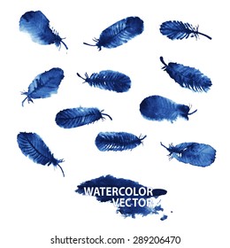 Set of blue feathers on white background. Watercolor vector
