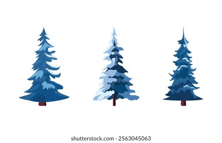 Set of blue fir trees illustrations. Isolated on the white background, Christmas pine tree. Vector cartoon flat illustration