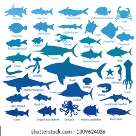 Set of blue fish silhouettes - vector. Silhouettes of fish with the name.