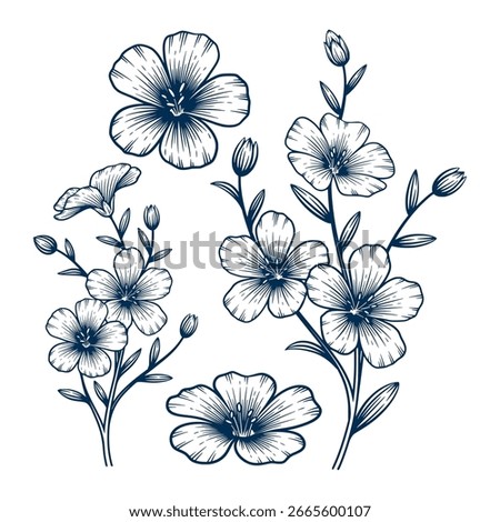 Set of Blue Flax Flower Hand Drawn Illustration. Blue Flax Flower Vector Line Art Collection