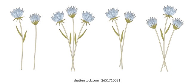 Conjunto de buquês de flores azuis com folhas. Cochos de flores silvestres florescentes, plantas selvagens perenes. Elementos botânicos desenhados à mão para projetos de design. Ilustração vetorial
