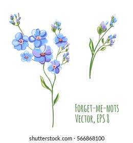 Set of blue flowers and buds, forget-me-not, stem and leaves on white background, digital draw, decorative illustration, vector, EPS 8