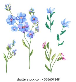 Set of blue flowers and buds, forget-me-not, tweedia, stems and leaves on white background, digital draw, decorative illustration, vector, EPS 8