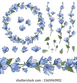 Set with blue flowers chicory, isolated on white. Wreath and endless horizontal border of wildflowers, green leaves. Floral elements for your design. Hand drawn. Vector stock illustration.