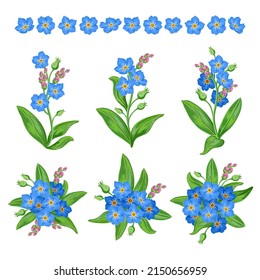 conjunto de flores azules olvidadas-no-me-no. ilustración vectorial aislada