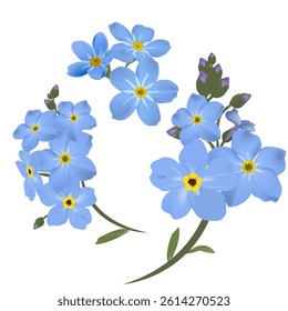 a set of blue forget-me-nots with buds