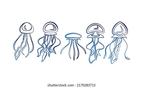 Set of blue gradient line jellyfish