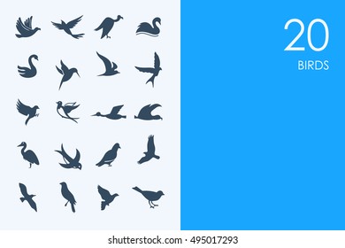 Set of BLUE HAMSTER Library birds icons