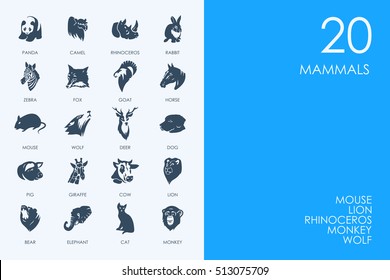 Set of BLUE HAMSTER Library mammals icons