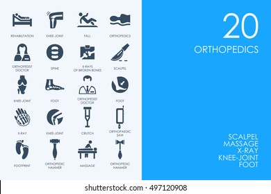 Set of BLUE HAMSTER Library orthopedics icons