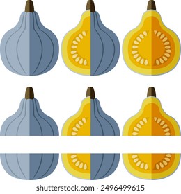 Set of Blue hubbard squash. Winter squash. Cucurbita maxima. Fruits and vegetables. Flat style. Isolated vector illustration.