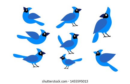 Blue Jay Bird Cartoon Illustration Set