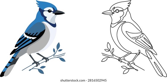 A set blue jay