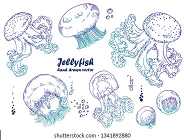 Set of blue jellyfishes. Hand drawn vector. Isolated elements for design.