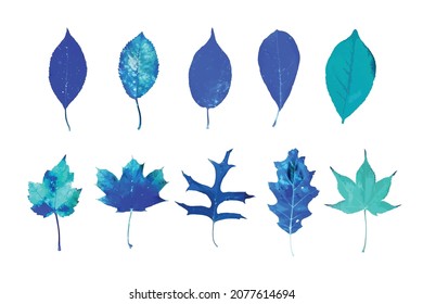 Conjunto de hojas azules. Ilustración vectorial aislada.
