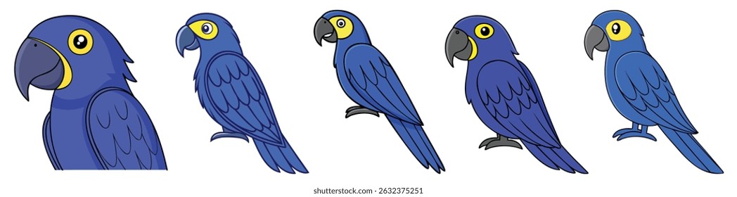 Set of Blue Macaw Parrots vector illustration