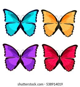 set blue morpho the butterfly monarch.  vector illustration