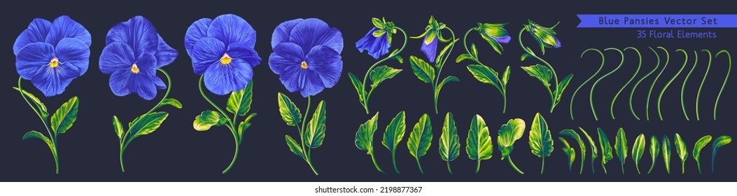 Set of blue Pansies. Vector botanical illustrations. Clip art in realistic style isolated on dark background. Ready-made flowers, buds leaves and stems, customize your own floral elements.