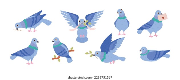 Set of blue pigeons flat style, vector illustration isolated on white background. Eating, sleeping and flying dove birds, communication and peace symbol, design elements collection