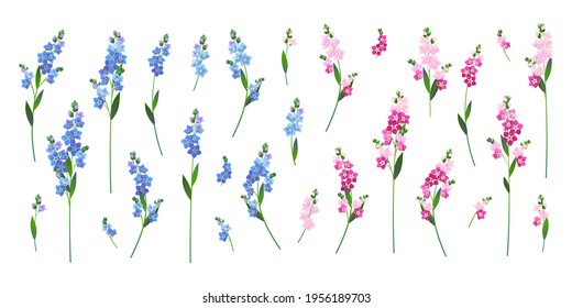 Set aus Blau und Rosa Vergiss-me-Noten auf weißem Hintergrund. Vektorgrafik für Hochzeitsdesign.