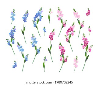 Conjunto de olores azules y rosas sobre un fondo blanco. Ilustración vectorial para el diseño de bodas.
