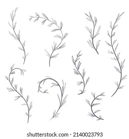 Set of blue plant branches. Vector winding branches with leaves 