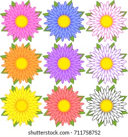 Set of blue, red, yellow, white, pink, orange, purple flowers.