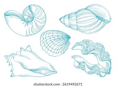 Conjunto de conchas do mar azul. Estilo de gráfico vetorial em tinta. Tema marinho para cartazes, aquários, impressões, cartões, tecido, decoração de restaurantes.