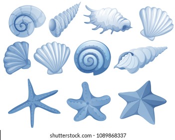 A Set of Blue Seashell illustration