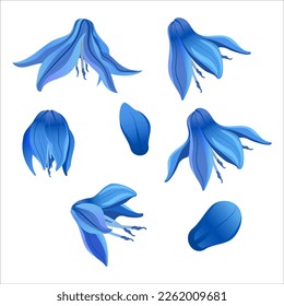 Set of blue spring vector squill flowers, a symbol of spring and spring holidays