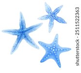 Set of blue starfish. Vector set of illustrations of sea animals in watercolor style isolated on white