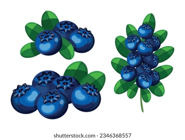 Set of blue tasty blueberries in cartoon style. Vector illustration of delicious bunch and branch of blueberry berries with green leaves isolated on white background.
