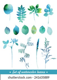 Set Of Blue Watercolor Leaves And Grass.