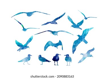 Set of blue watercolor sea gulls. Vector illustration