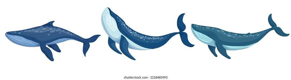 Set of blue whale aquatic mammals. Cartoon vector graphics.